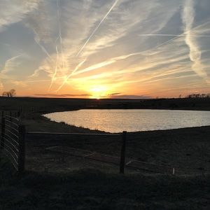 Meet your Posher, Frannie